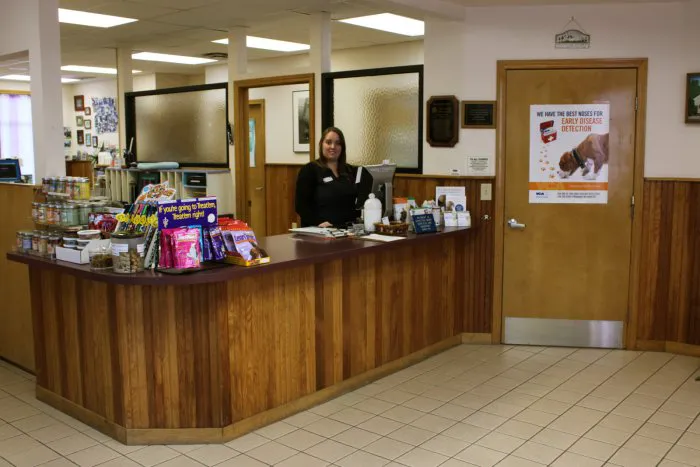 VCA All Caring Animal Hospital Picture 6