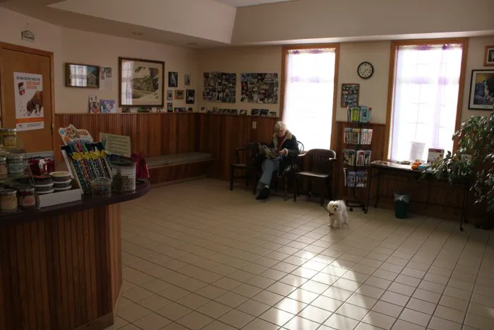 VCA All Caring Animal Hospital Picture 5
