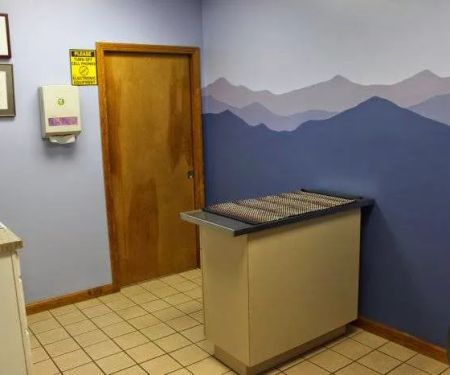 VCA All Caring Animal Hospital