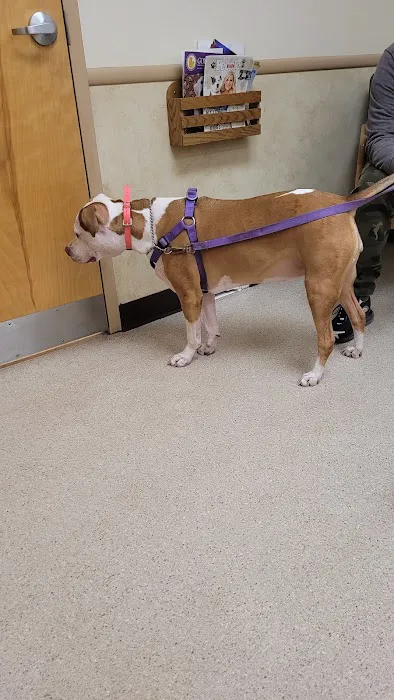 Litchfield Veterinary Hospital Picture 8