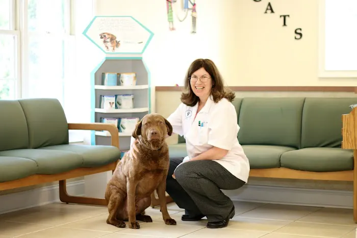 Litchfield Veterinary Hospital Picture 3