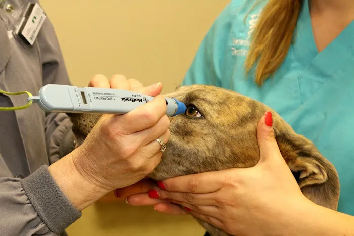 Litchfield Veterinary Hospital Picture 6