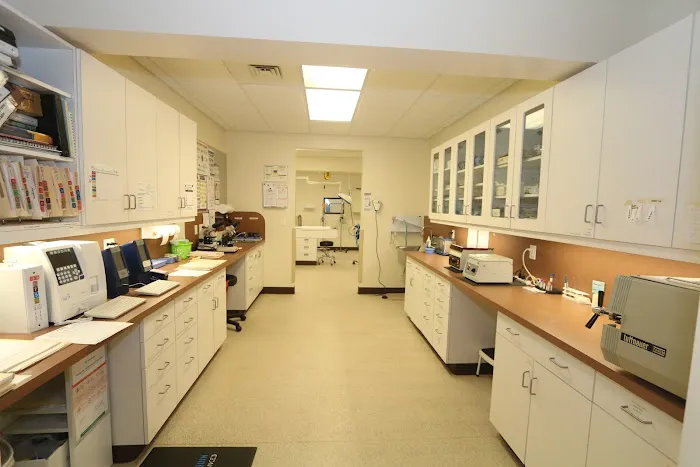 Litchfield Veterinary Hospital Picture 1