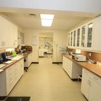 Litchfield Veterinary Hospital ico