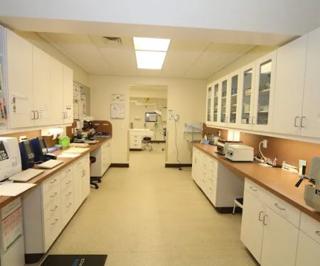 Litchfield Veterinary Hospital