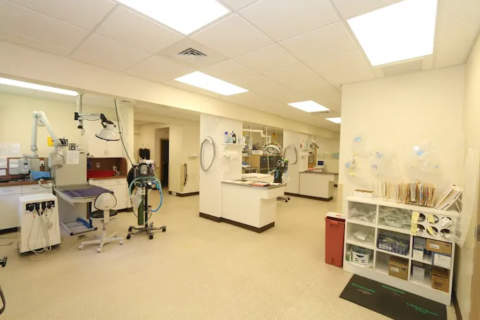 Litchfield Veterinary Hospital Picture 5