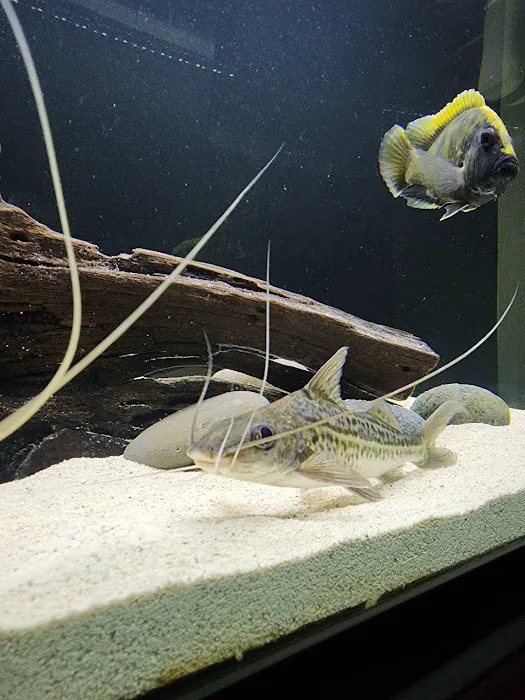 Aqua Biz Inc Picture 9