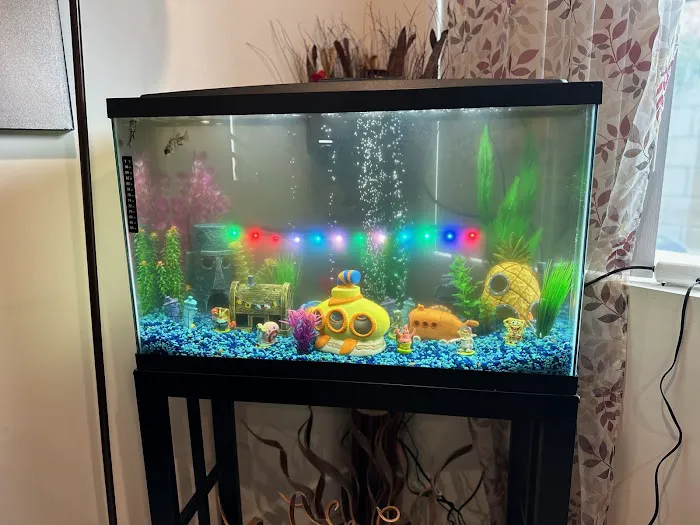 Aqua Biz Inc Picture 2