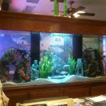 Aqua Biz Inc