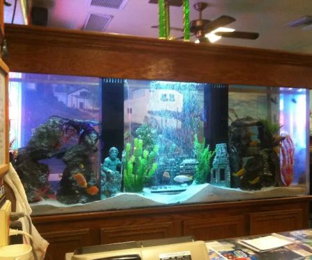 Aqua Biz Inc