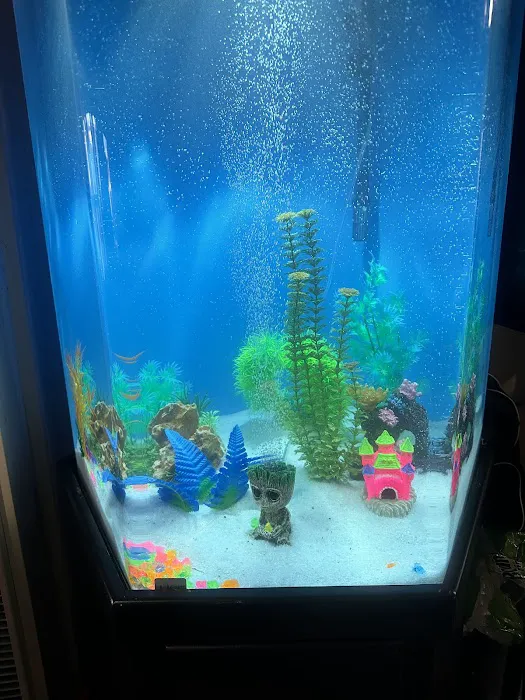 Aqua Biz Inc Picture 3
