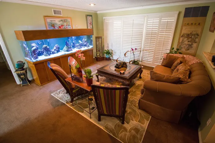 Aqua Biz Inc Picture 6