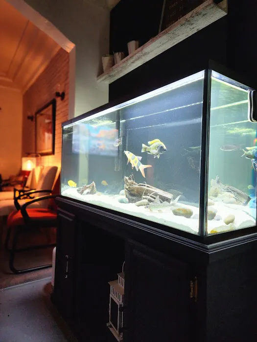 Aqua Biz Inc Picture 7