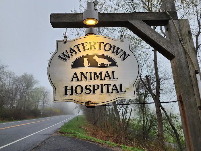 Watertown Animal Hospital Picture 9