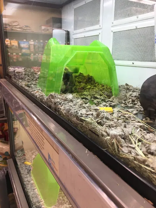 Unleashed by Petco Picture 10