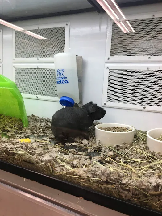 Unleashed by Petco Picture 7