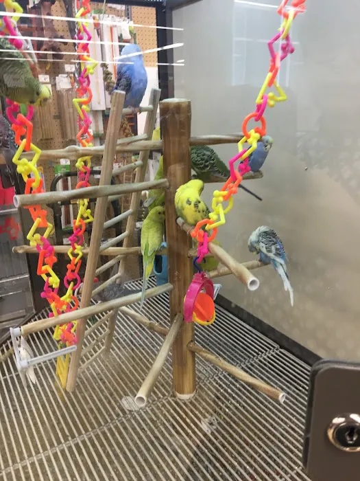 Unleashed by Petco Picture 5