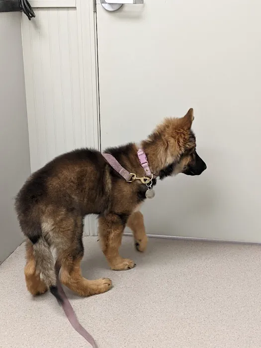 Litchfield Hills Veterinary Hospital Picture 8