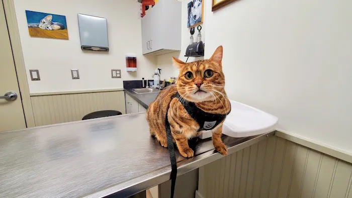 Litchfield Hills Veterinary Hospital Picture 1