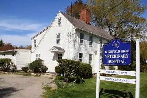 Litchfield Hills Veterinary Hospital Picture 7