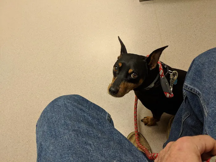 Litchfield Hills Veterinary Hospital Picture 3