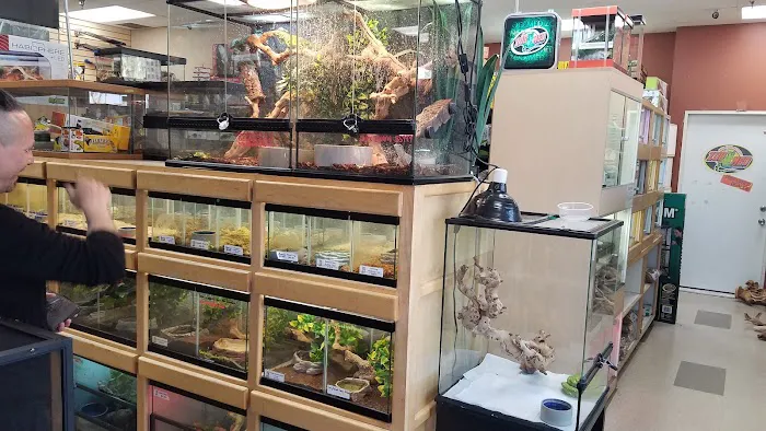 Reptile Island Picture 2