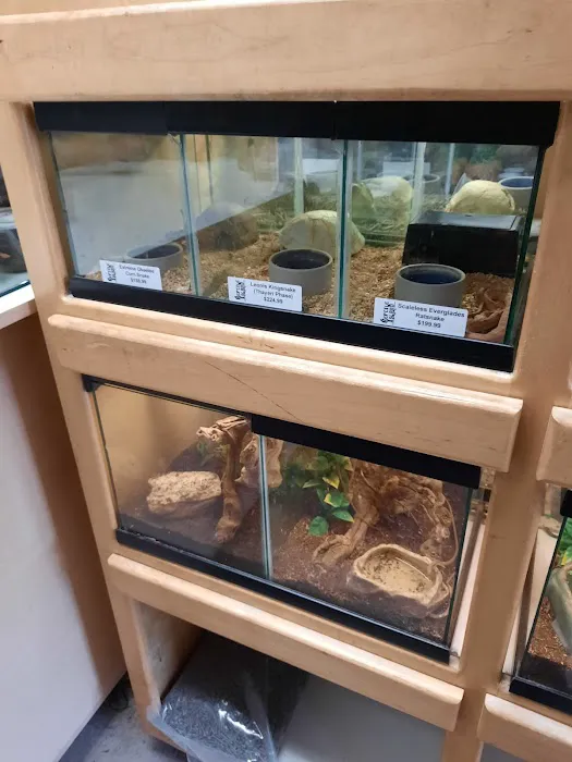 Reptile Island Picture 7