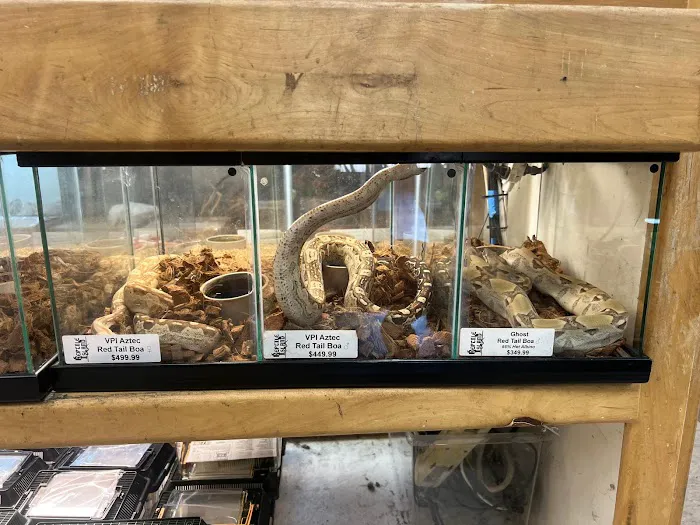 Reptile Island Picture 8