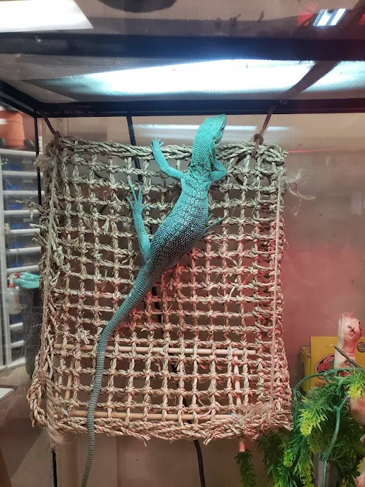Reptile Island Picture 4