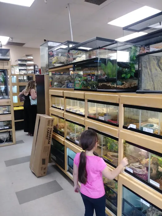 Reptile Island Picture 5