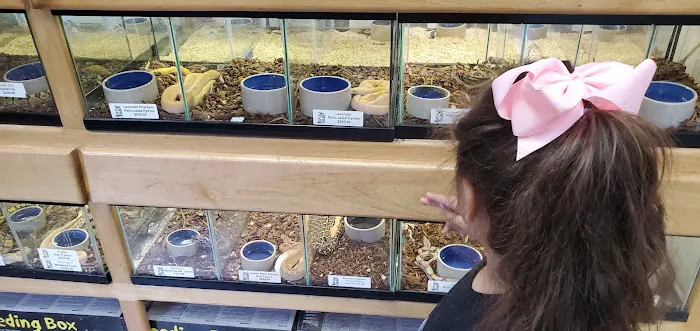Reptile Island Picture 1