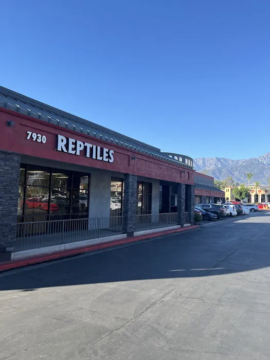Reptile Island Picture 3