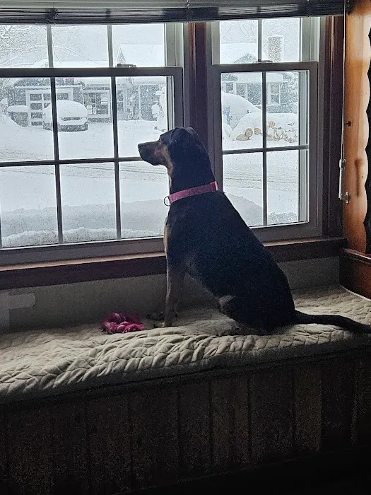 Torrington Animal Hospital Picture 9