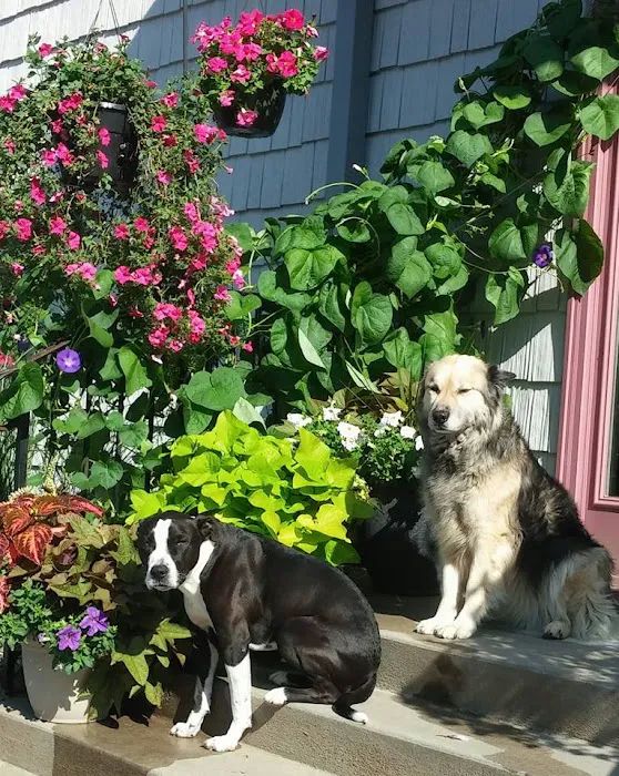 Torrington Animal Hospital Picture 5
