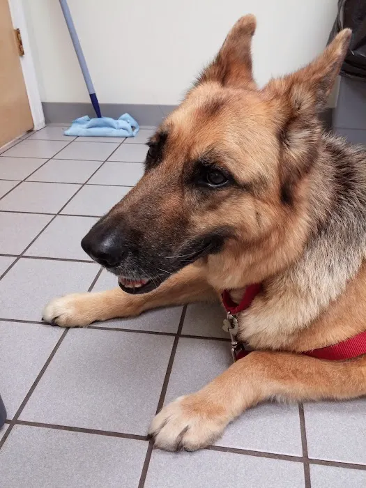 Torrington Animal Hospital Picture 3