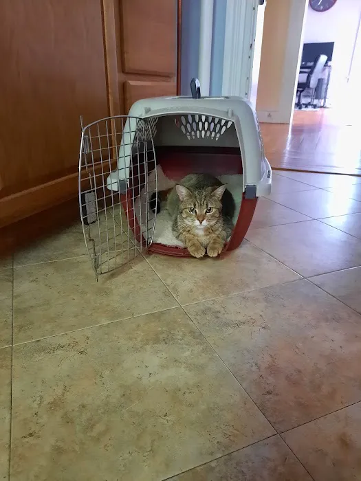 Torrington Animal Hospital Picture 6