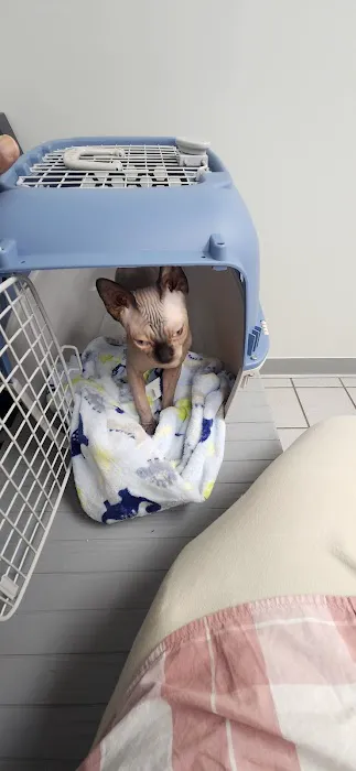 Torrington Animal Hospital Picture 10