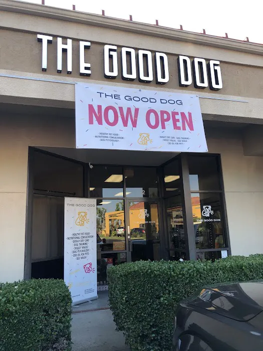 The Good Dog Picture 1