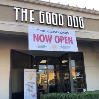 The Good Dog ico