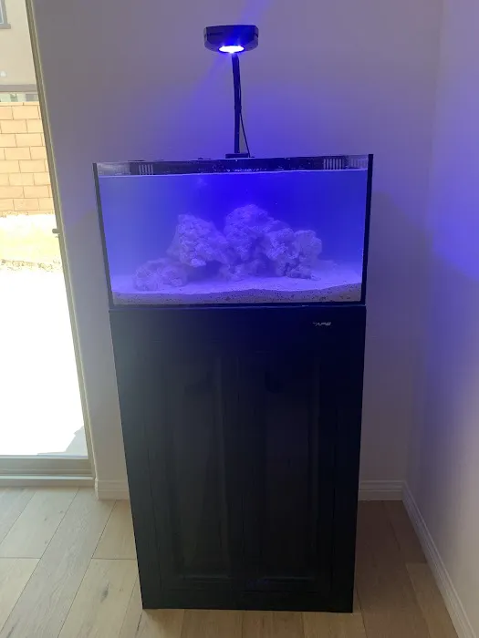 Tropical Reef Fish Store Picture 3