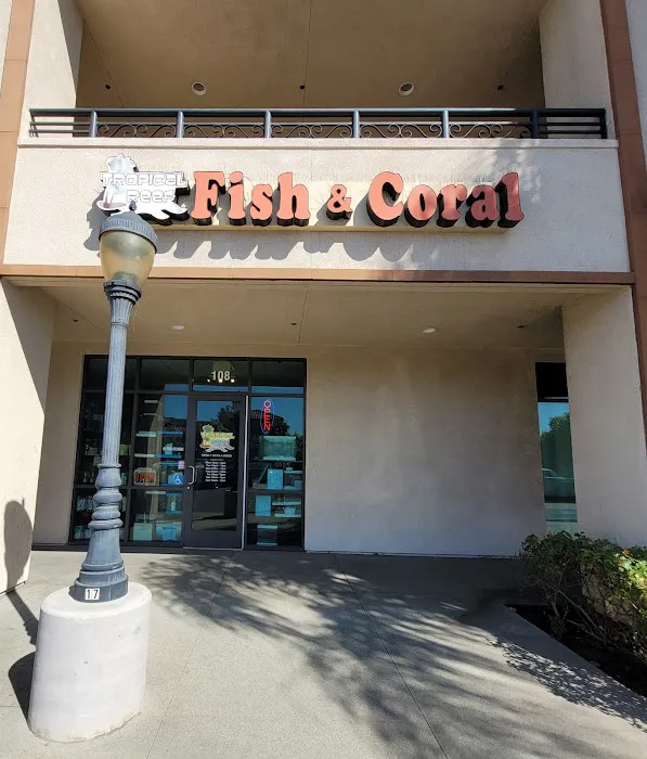 Tropical Reef Fish Store Picture 7