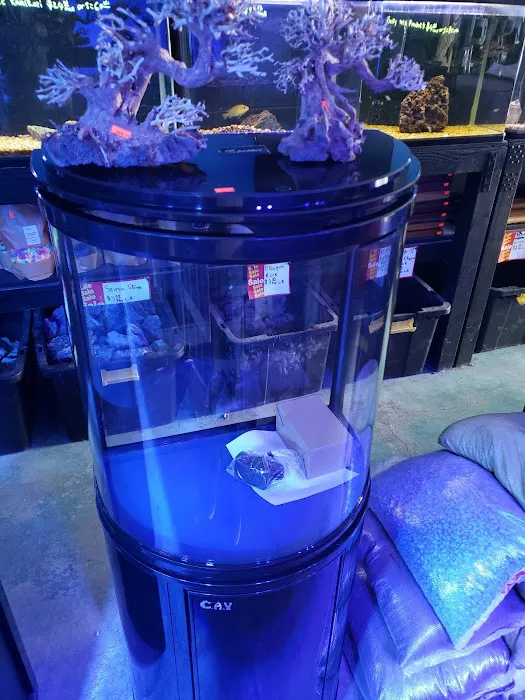 Tropical Reef Fish Store Picture 8
