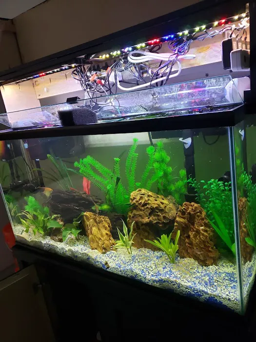 Tropical Reef Fish Store Picture 2
