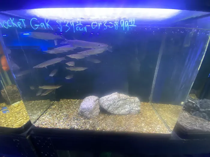 Tropical Reef Fish Store Picture 4