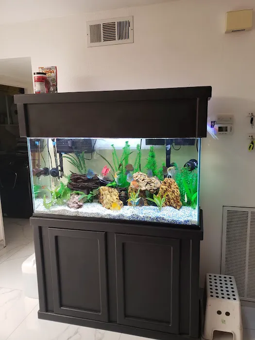 Tropical Reef Fish Store Picture 1