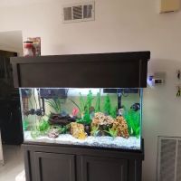 Tropical Reef Fish Store ico