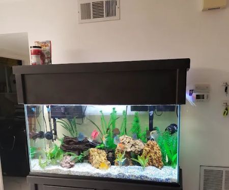 Tropical Reef Fish Store