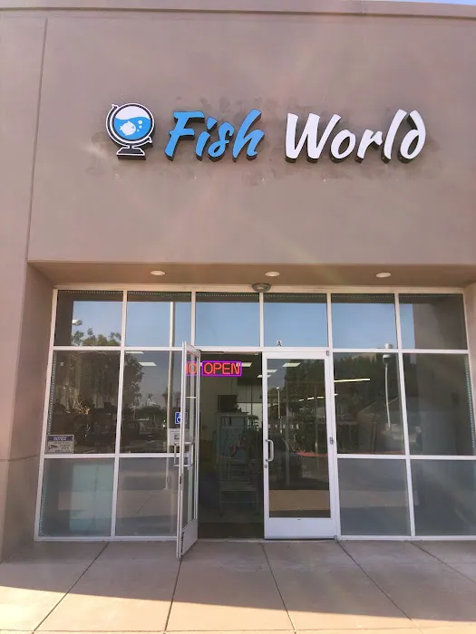 Fish World Picture 10
