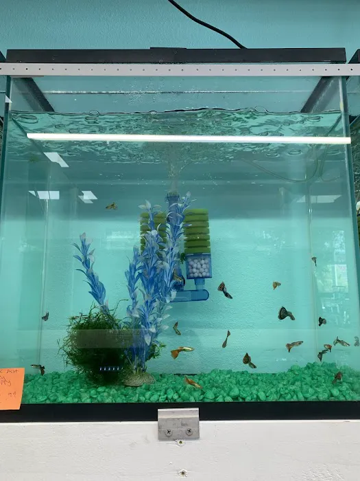 Fish World Picture 5
