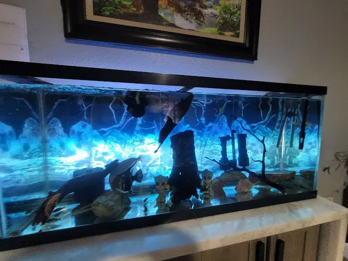 Fish World Picture 3